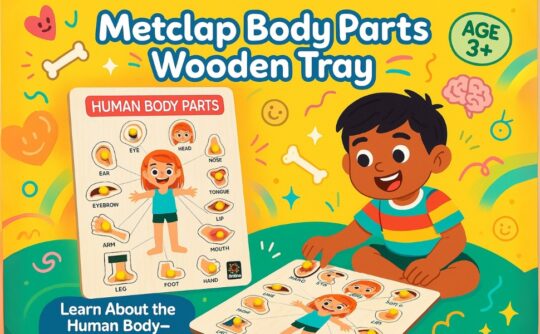 Metclap Metclap - Body Parts Tray - Aplus 4