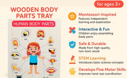 Metclap - Body Parts Tray