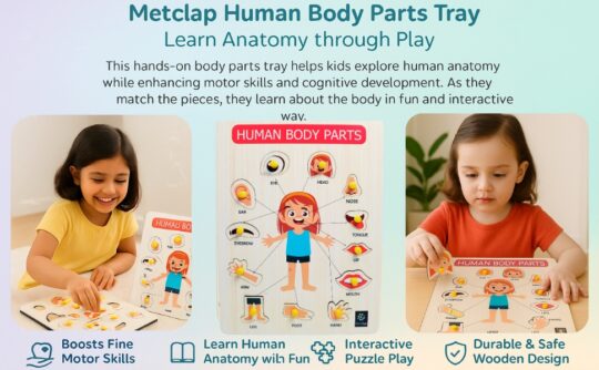 Metclap - Body Parts Tray - Aplus 2