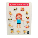 Metclap’s Body Parts Tray – Fun and Educational Games for Kids