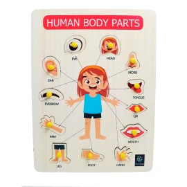 Metclap’s Body Parts Tray – Fun and Educational Games for Kids