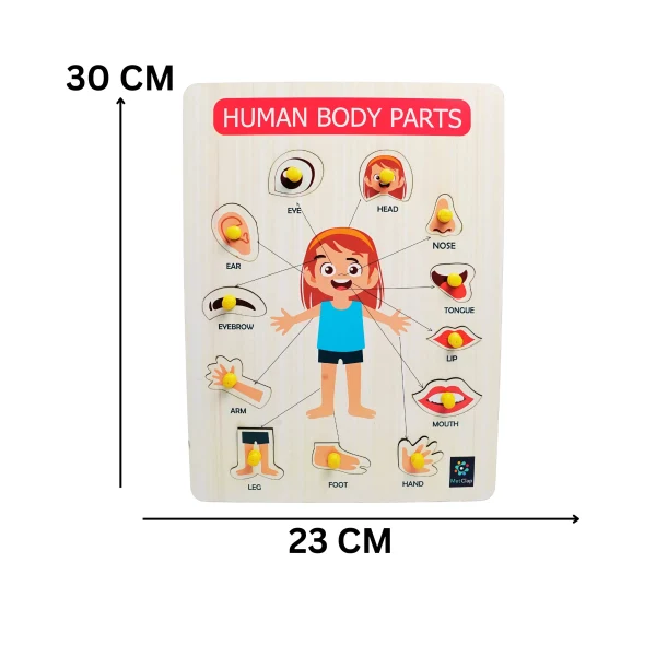 Metclap’s Body Parts Tray – Fun and Educational Games for Kids