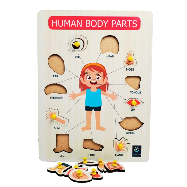 Metclap’s Body Parts Tray – Fun and Educational Games for Kids
