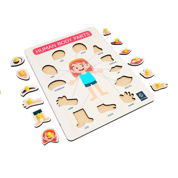 Metclap’s Body Parts Tray – Fun and Educational Games for Kids