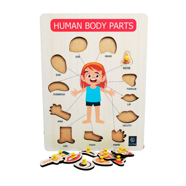 Metclap’s Body Parts Tray – Fun and Educational Games for Kids