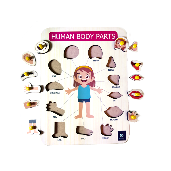 Metclap’s Body Parts Tray – Fun and Educational Games for Kids