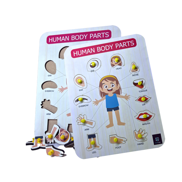 Metclap’s Body Parts Tray – Fun and Educational Games for Kids