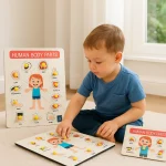 Metclap’s Body Parts Tray – Fun and Educational Games for Kids